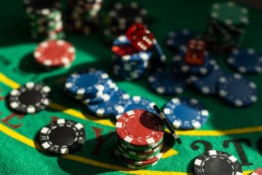 rotogel login platform dashboard and statistics